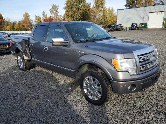 Photo 4 from auction – 2009 FORD F150 SUPER with VIN 1FTPW14V79FB30375