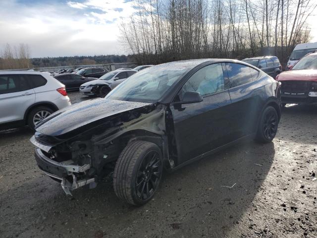 TESLA MODEL Y 2023 with VIN 7SAYGDEE3PF912209 - Photo from auction