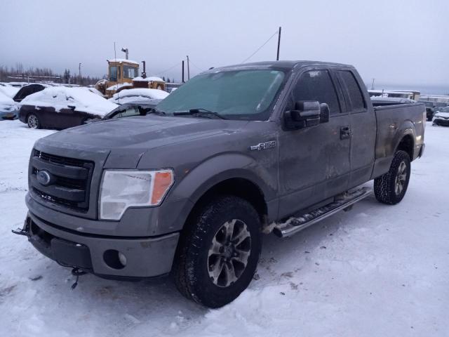 FORD F150 SUPER 2013 with VIN 1FTFX1EF8DFA68316 - Photo from auction