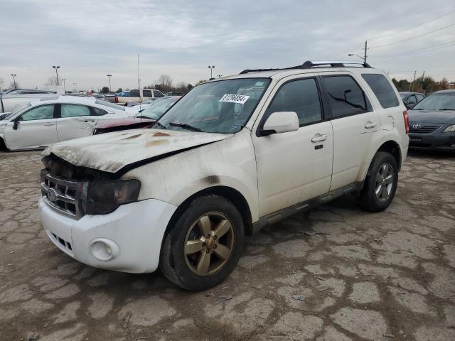 FORD ESCAPE LIM 2010 with VIN 1FMCU0EG2AKA13230 - Photo from auction