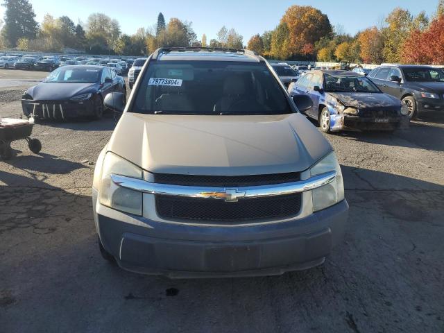 Photo 5 from auction – 2005 CHEVROLET EQUINOX LS with VIN 2CNDL23F056060441