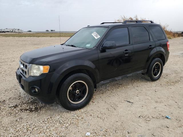 FORD ESCAPE XLT 2011 with VIN 1FMCU0DG5BKA87535 - Photo from auction