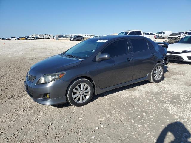 TOYOTA COROLLA BA 2010 with VIN 2T1BU4EE0AC499205 - Photo from auction
