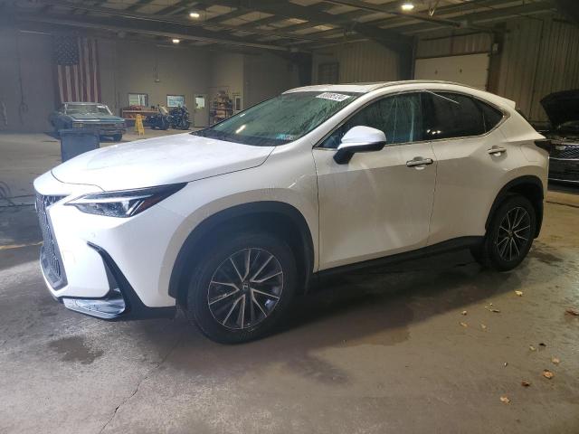 LEXUS NX 350 PRE 2024 with VIN 2T2GGCEZ2RC039917 - Photo from auction