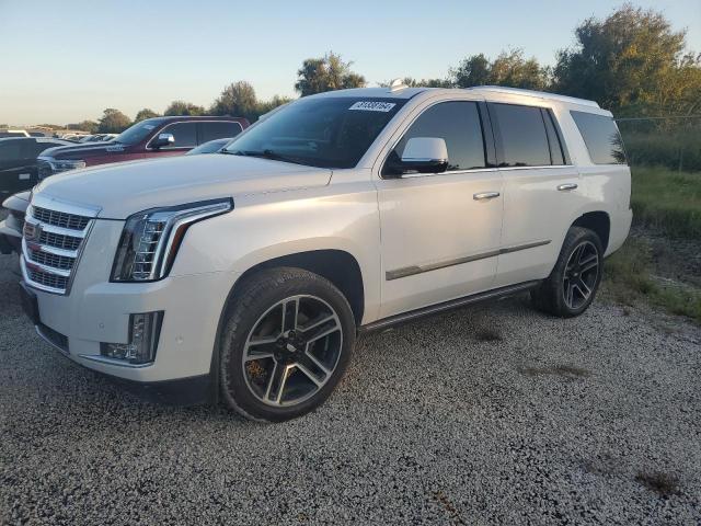 CADILLAC ESCALADE P 2020 with VIN 1GYS3CKJ6LR231499 - Photo from auction