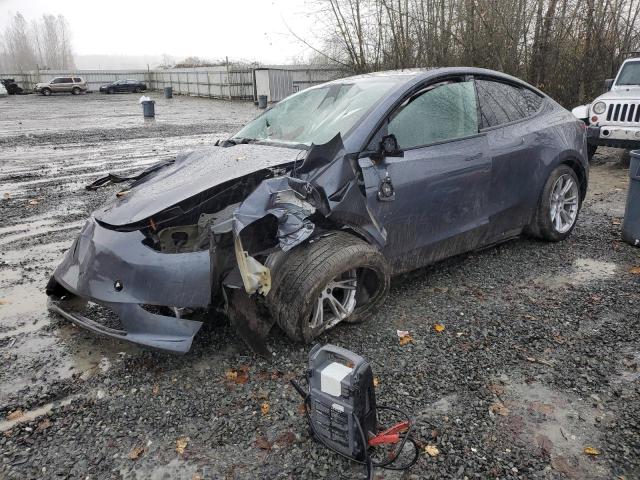 TESLA MODEL Y 2023 with VIN 7SAYGDEE0PF793857 - Photo from auction