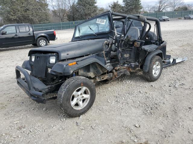 JEEP WRANGLER / 1993 with VIN 1J4FY29S1PP236204 - Photo from auction