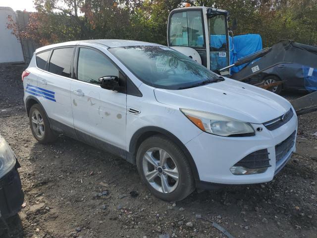 Photo 4 from auction – 2014 FORD ESCAPE SE with VIN 1FMCU9GX6EUC01082