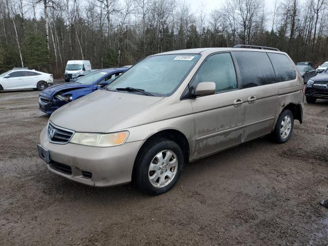 HONDA ODYSSEY EX 2003 with VIN 2HKRL18613H009861 - Photo from auction