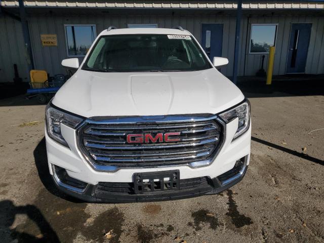 Photo 5 from auction – 2024 GMC TERRAIN SL with VIN 3GKALVEG4RL209857