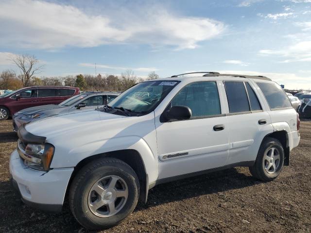 CHEVROLET TRAILBLAZE 2003 with VIN 1GNDT13S532262978 - Photo from auction