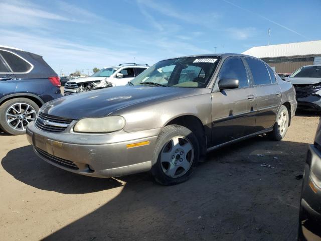 CHEVROLET MALIBU LS 2002 with VIN 1G1NE52J12M573729 - Photo from auction
