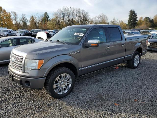 FORD F150 SUPER 2009 with VIN 1FTPW14V79FB30375 - Photo from auction