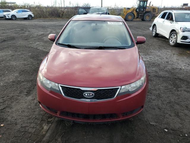 Photo 5 from auction – 2011 KIA FORTE EX with VIN KNAFU4A29B5465806