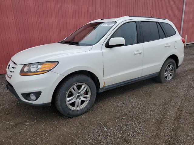 HYUNDAI SANTA FE G 2010 with VIN 5NMSGDAG3AH350828 - Photo from auction