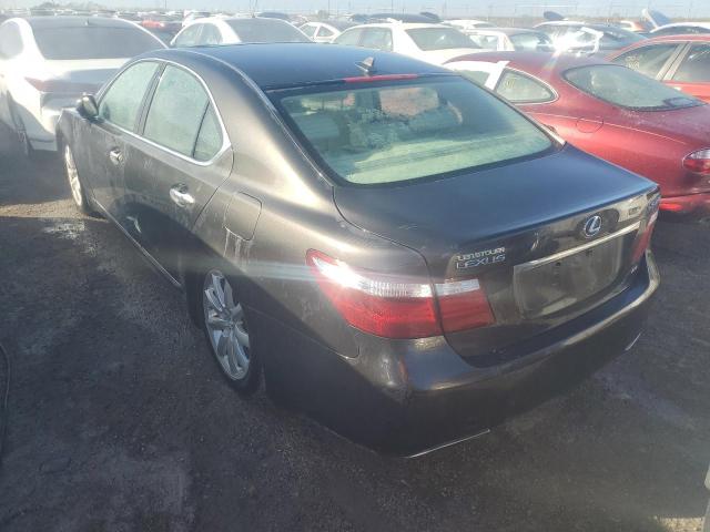 Photo 2 from auction – 2009 LEXUS LS 460 with VIN JTHCL46FX95001257