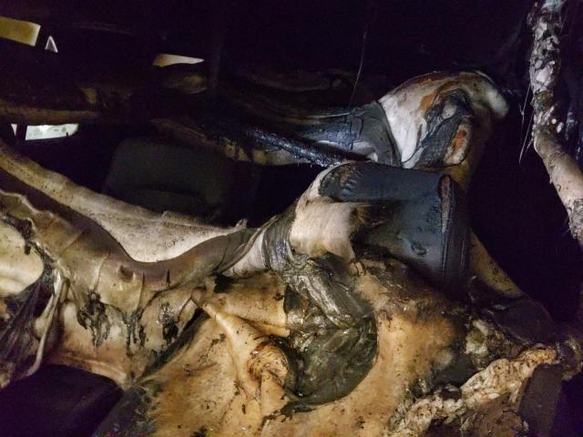 Photo 10 from auction – 2017 FORD EXPLORER X with VIN 1FM5K8D86HGB63619