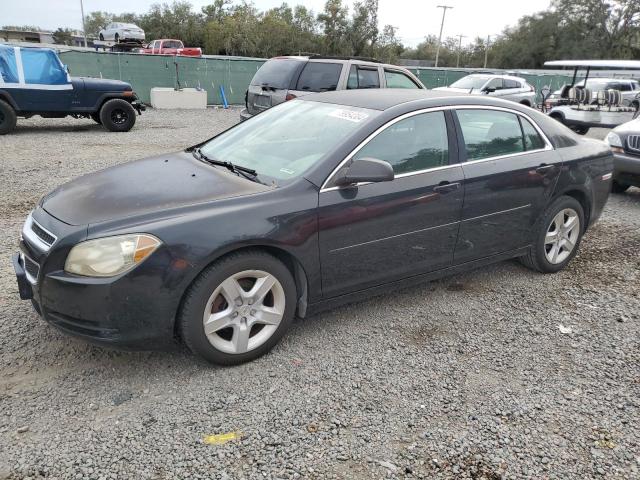 CHEVROLET MALIBU LS 2010 with VIN 1G1ZB5EBXAF313816 - Photo from auction