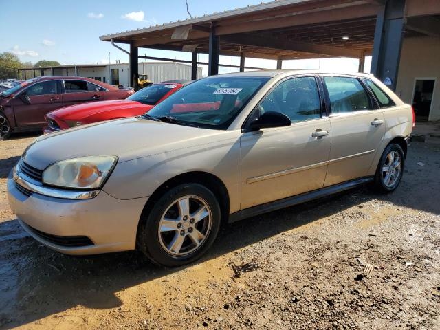 CHEVROLET MALIBU MAX 2005 with VIN 1G1ZT62885F294510 - Photo from auction
