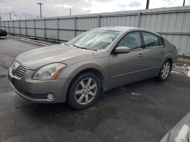 NISSAN MAXIMA SE 2006 with VIN 1N4BA41E16C855732 - Photo from auction