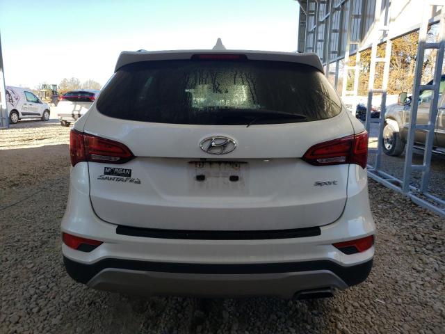 Photo 6 from auction – 2017 HYUNDAI SANTA FE with VIN 5NMZU3LB6HH034935