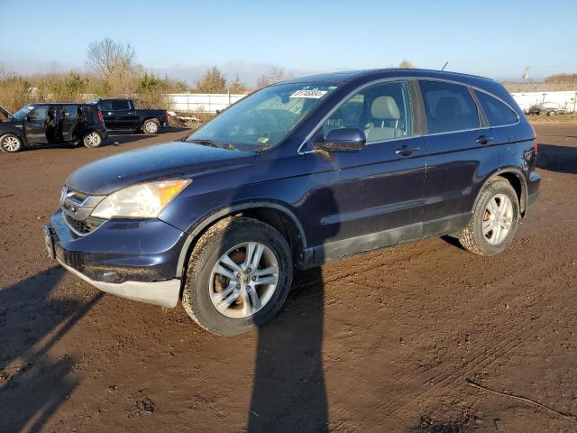 HONDA CR-V EXL 2011 with VIN 5J6RE4H79BL030255 - Photo from auction