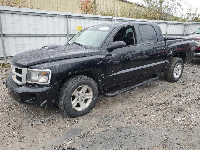 DODGE DAKOTA SLT 2011 with VIN 1D7RW3GK6BS620041 - Photo from auction