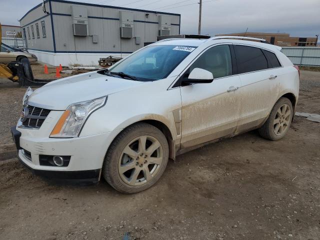 CADILLAC SRX PERFOR 2011 con VIN 3GYFNEEY2BS634584 - Foto de la subasta