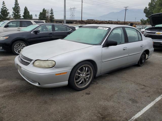 CHEVROLET MALIBU 2003 with VIN 1G1ND52J33M541241 - Photo from auction