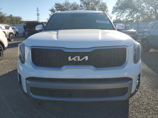 Photo 5 from auction – 2023 KIA TELLURIDE with VIN 5XYP34GC2PG331664