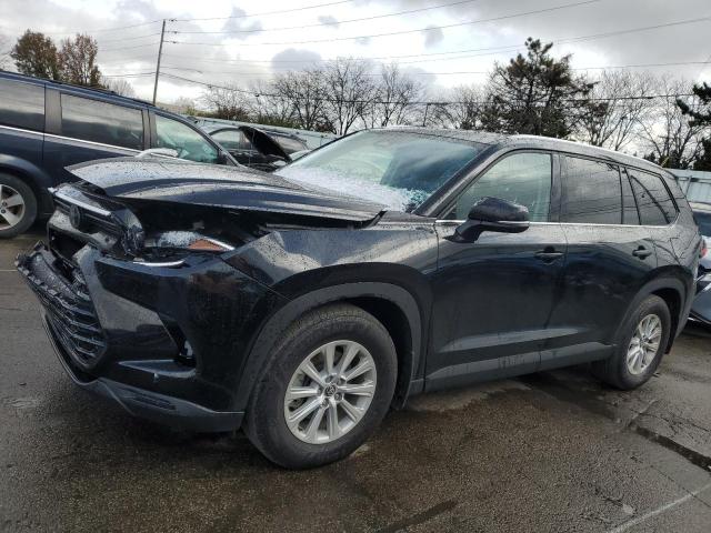 TOYOTA GRAND HIGH 2024 with VIN 5TDAAAB52RS020406 - Photo from auction