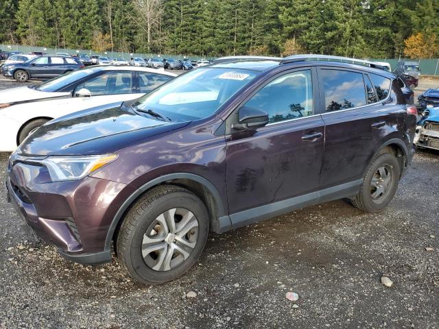 TOYOTA RAV4 LE 2018 with VIN 2T3BFREV1JW846067 - Photo from auction
