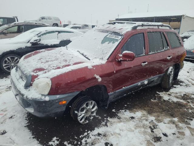 HYUNDAI SANTA FE G 2002 with VIN KM8SC73D82U229282 - Photo from auction