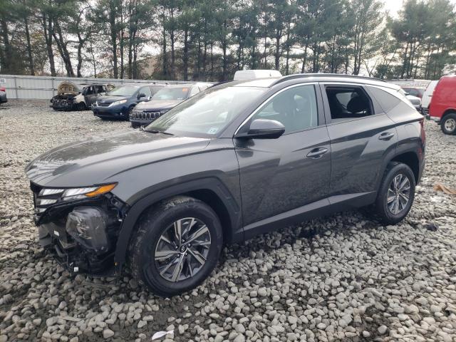 HYUNDAI TUCSON BLU 2022 with VIN KM8JBCA13NU020939 - Photo from auction