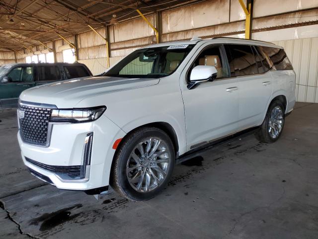 CADILLAC ESCALADE P 2021 with VIN 1GYS4CKL6MR271565 - Photo from auction