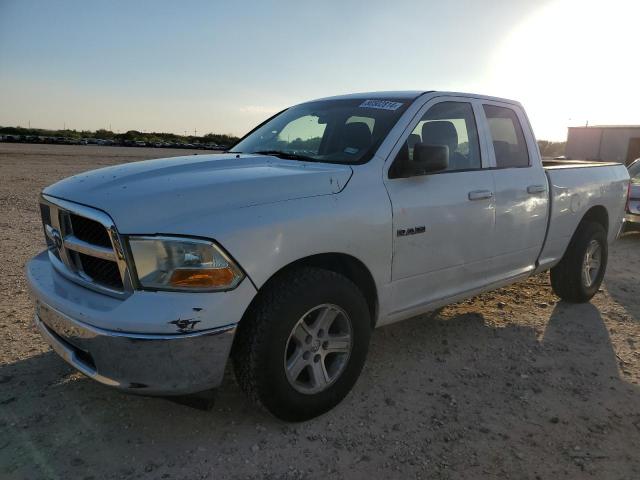 DODGE RAM 1500 2010 with VIN 1D7RB1GK2AS196274 - Photo from auction