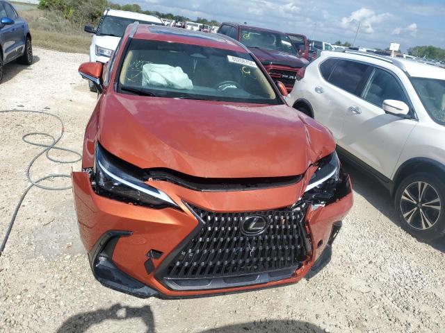 Photo 5 from auction – 2024 LEXUS NX 350 PRE with VIN 2T2GGCEZ4RC038252
