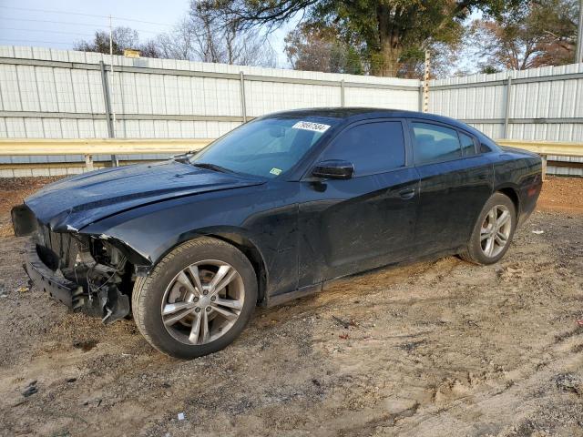 DODGE CHARGER R/ 2013 with VIN 2C3CDXDT2DH610583 - Photo from auction