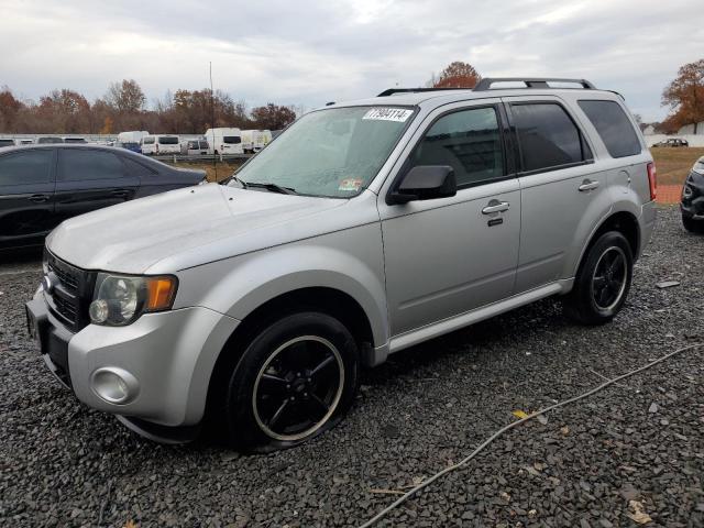 FORD ESCAPE XLT 2010 with VIN 1FMCU9DG4AKA80174 - Photo from auction