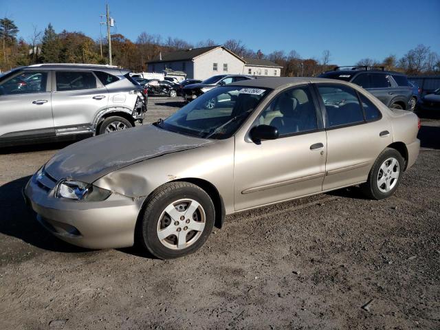 CHEVROLET CAVALIER L 2004 with VIN 1G1JF52F247169301 - Photo from auction