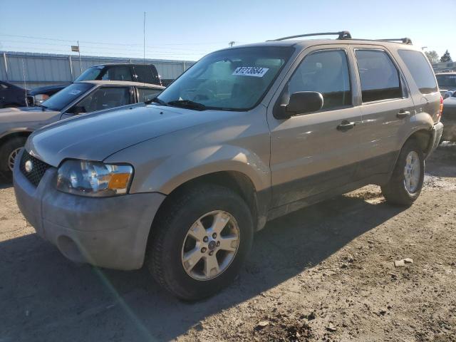 Photo 1 from auction – 2007 FORD ESCAPE XLT with VIN 1FMYU03Z77KB17649