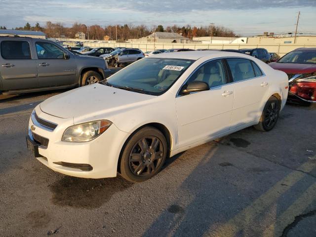CHEVROLET MALIBU LS 2011 with VIN 1G1ZB5E13BF240362 - Photo from auction