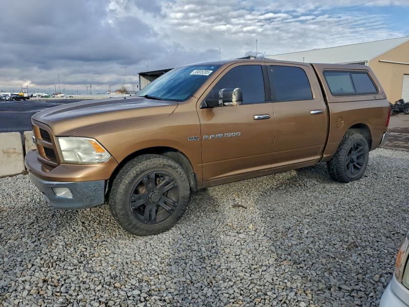 DODGE RAM 1500 2011 with VIN 1D7RV1CT7BS642443 - Photo from auction