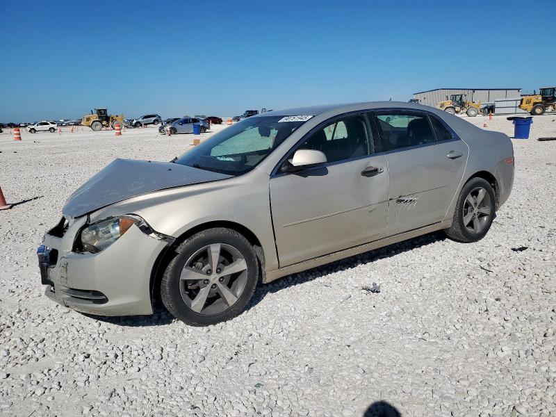 CHEVROLET MALIBU 1LT 2011 with VIN 1G1ZC5E12BF281627 - Photo from auction