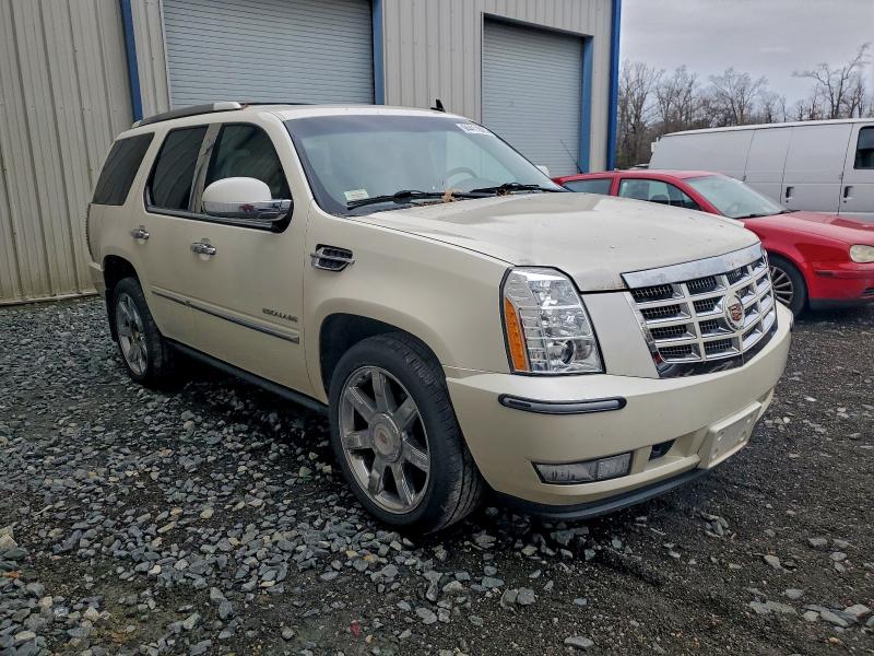 Photo 4 from auction – 2011 CADILLAC ESCALADE P with VIN 1GYS4CEF6BR143913