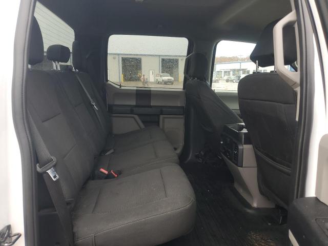 Photo 10 from auction – 2019 FORD F150 SUPER with VIN 1FTEW1EP7KKD02571