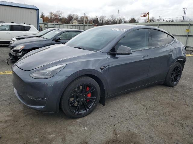 TESLA MODEL Y 2022 with VIN 7SAYGDEF4NF464522 - Photo from auction