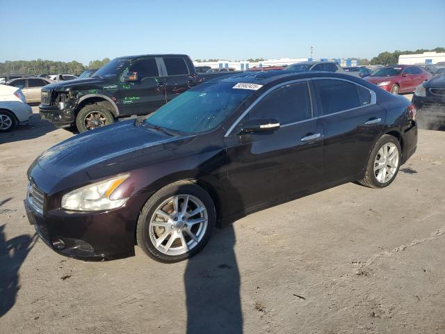 NISSAN MAXIMA S 2010 with VIN 1N4AA5AP0AC823155 - Photo from auction
