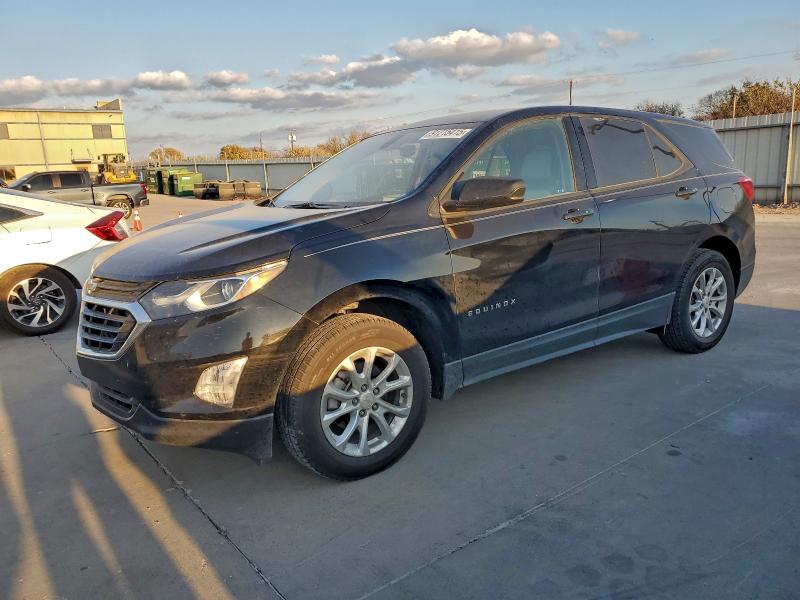 CHEVROLET EQUINOX LS 2019 with VIN 2GNAXSEV2K6144036 - Photo from auction