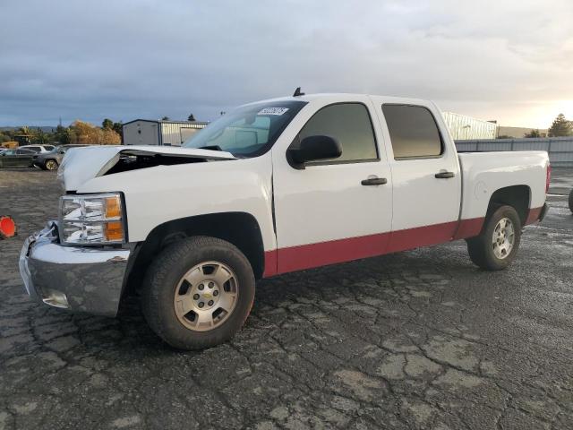 CHEVROLET SILVERADO 2013 with VIN 3GCPCSE01DG301680 - Photo from auction